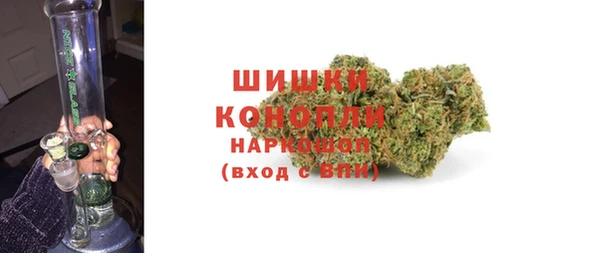 ПСИЛОЦИБИНОВЫЕ ГРИБЫ Арсеньев