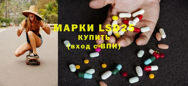 ПСИЛОЦИБИНОВЫЕ ГРИБЫ Арсеньев