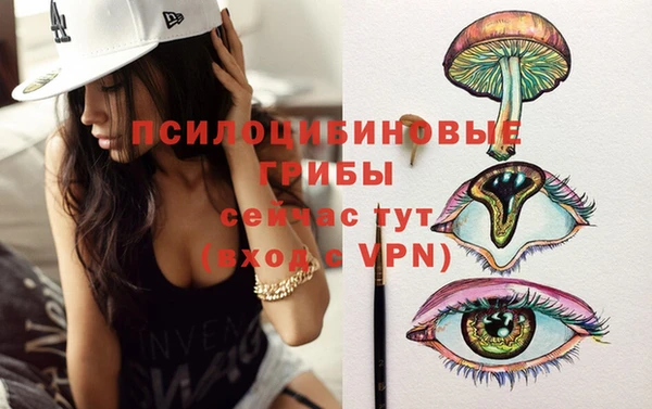 ПСИЛОЦИБИНОВЫЕ ГРИБЫ Арсеньев