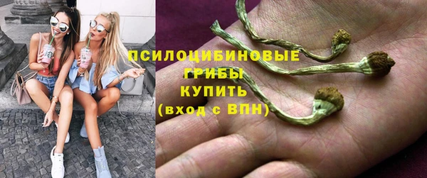 Альфа ПВП Аркадак