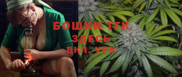 Альфа ПВП Аркадак