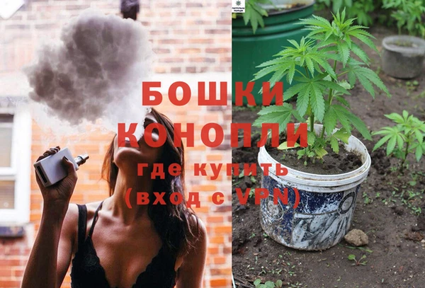 ПСИЛОЦИБИНОВЫЕ ГРИБЫ Арсеньев