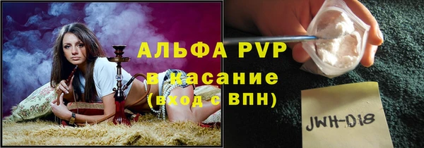 ПСИЛОЦИБИНОВЫЕ ГРИБЫ Арсеньев