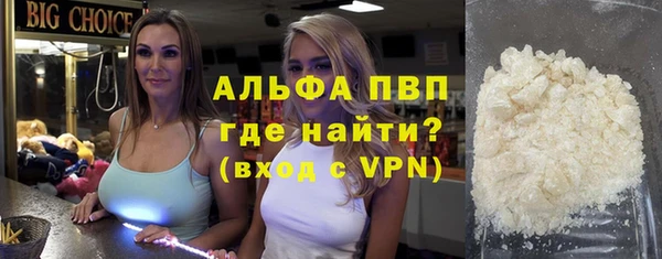 сатива Россошь