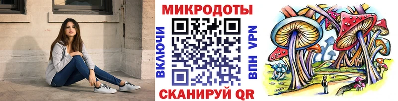 Псилоцибиновые грибы Cubensis Советская Гавань
